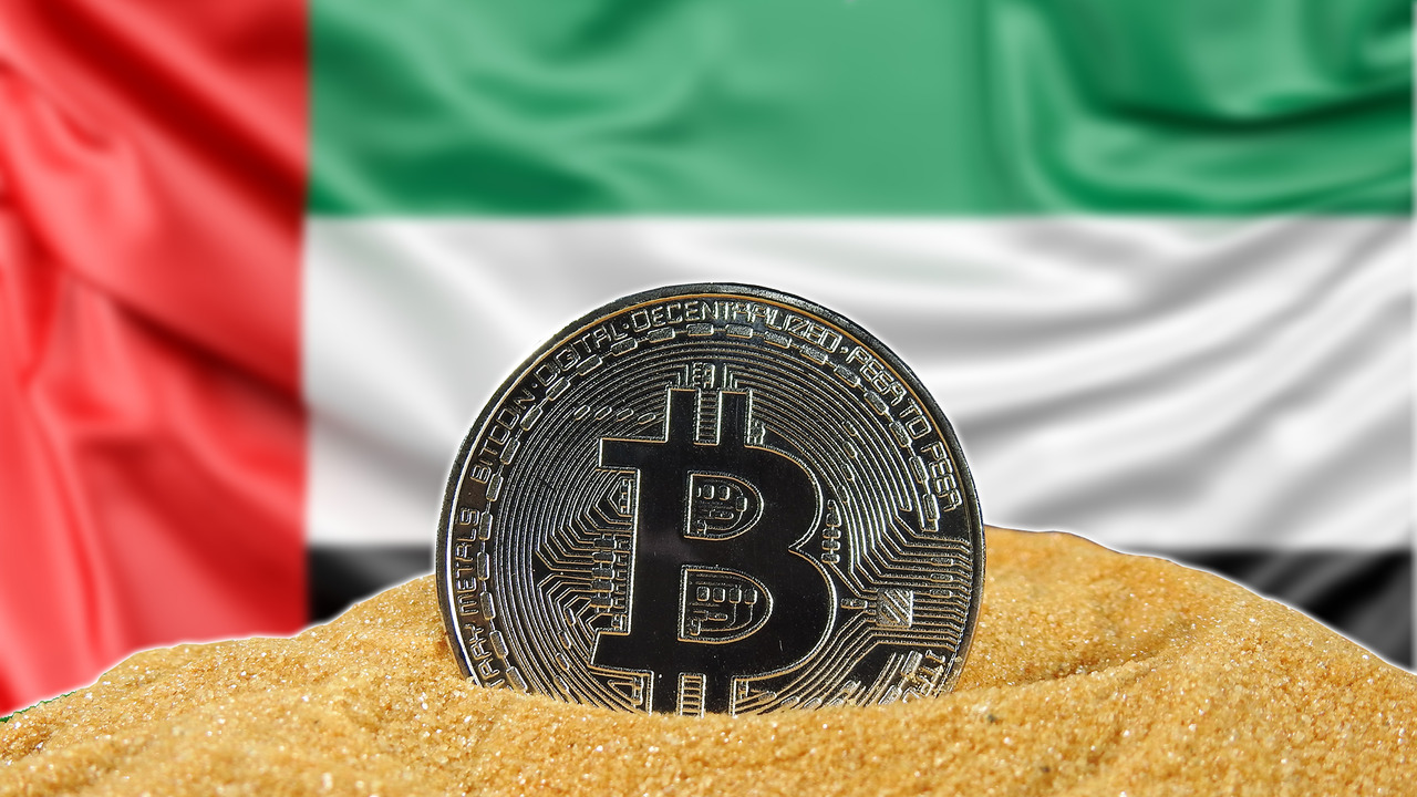 UAE Government's $740 Million Bitcoin Holdings: Insights from Arkham's Reports