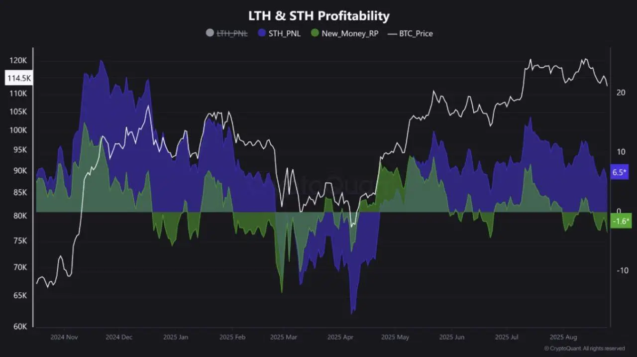 Bitcoin's Great Wealth Transfer: Why New Investor Panic is a Bullish Sign for Long-Term Believers