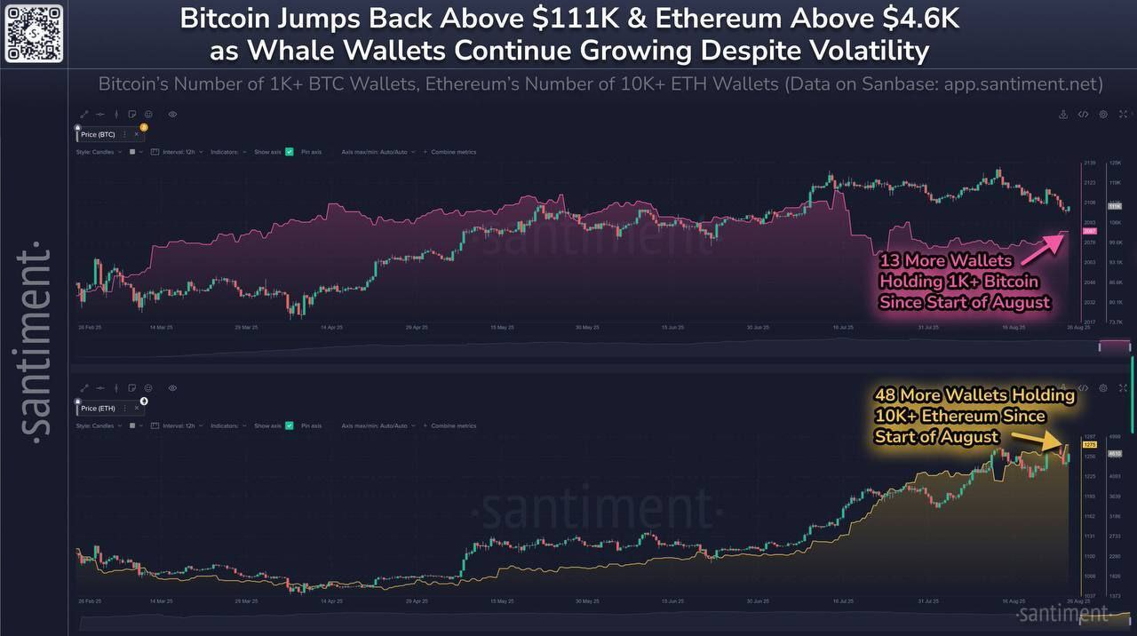 Hyperliquid Generates a Staggering $5.8 Million in Daily Fees, Marking Third-Highest Revenue Day of 2025