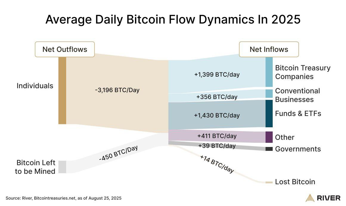 Ethereum's Institutional Adoption: A $51 Billion Revolution in Corporate Finance